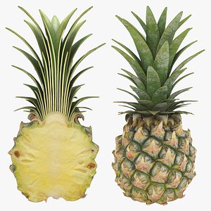 Whole and Half Pineapple model