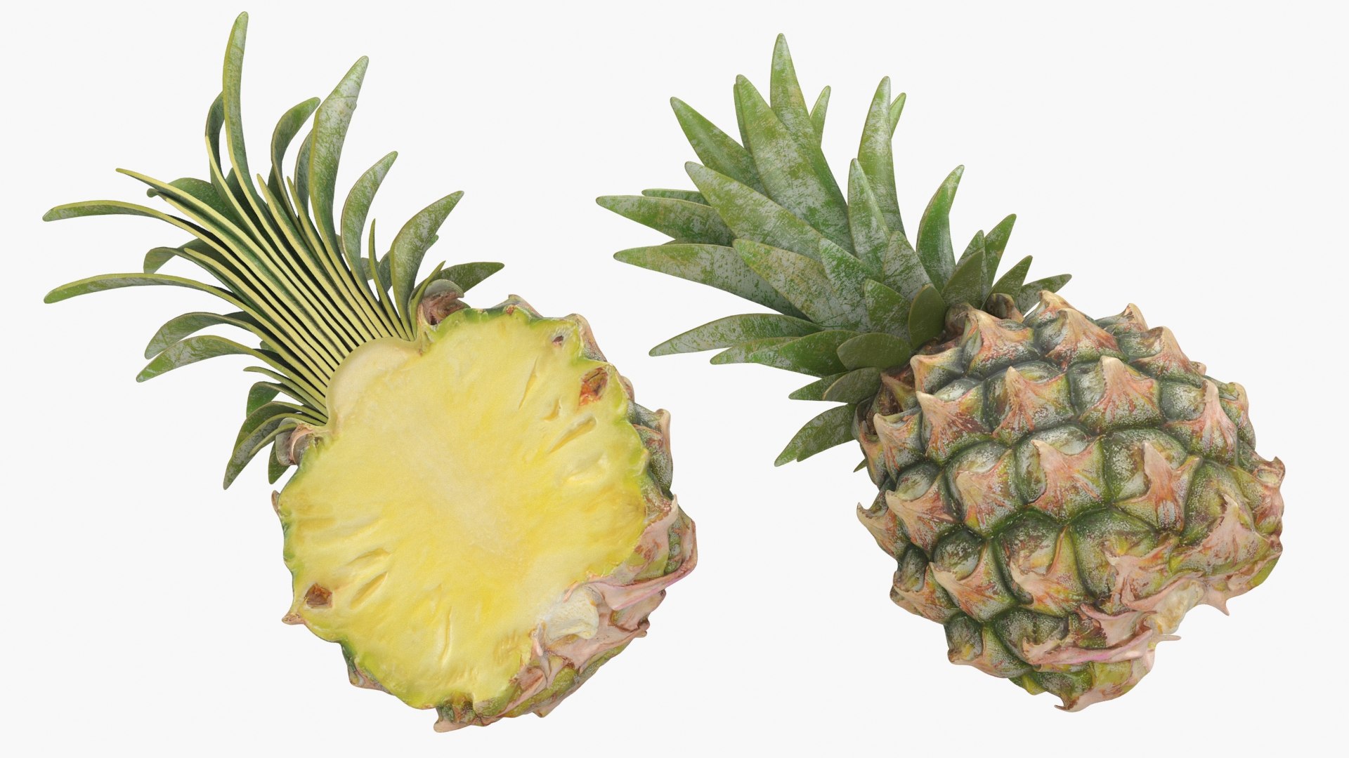 Whole And Half Pineapple Model - TurboSquid 2093953