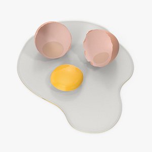 Broken Egg model