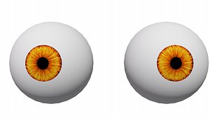 3D eyes iris pupil model