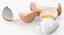 broken chicken eggs model