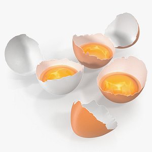 broken chicken eggs model