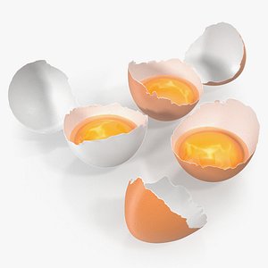 Broken Chicken Eggs 3D Model