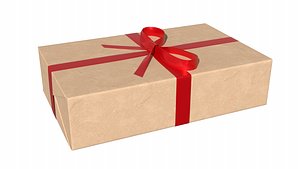 Wrapped Gift Box PBR 11 3D