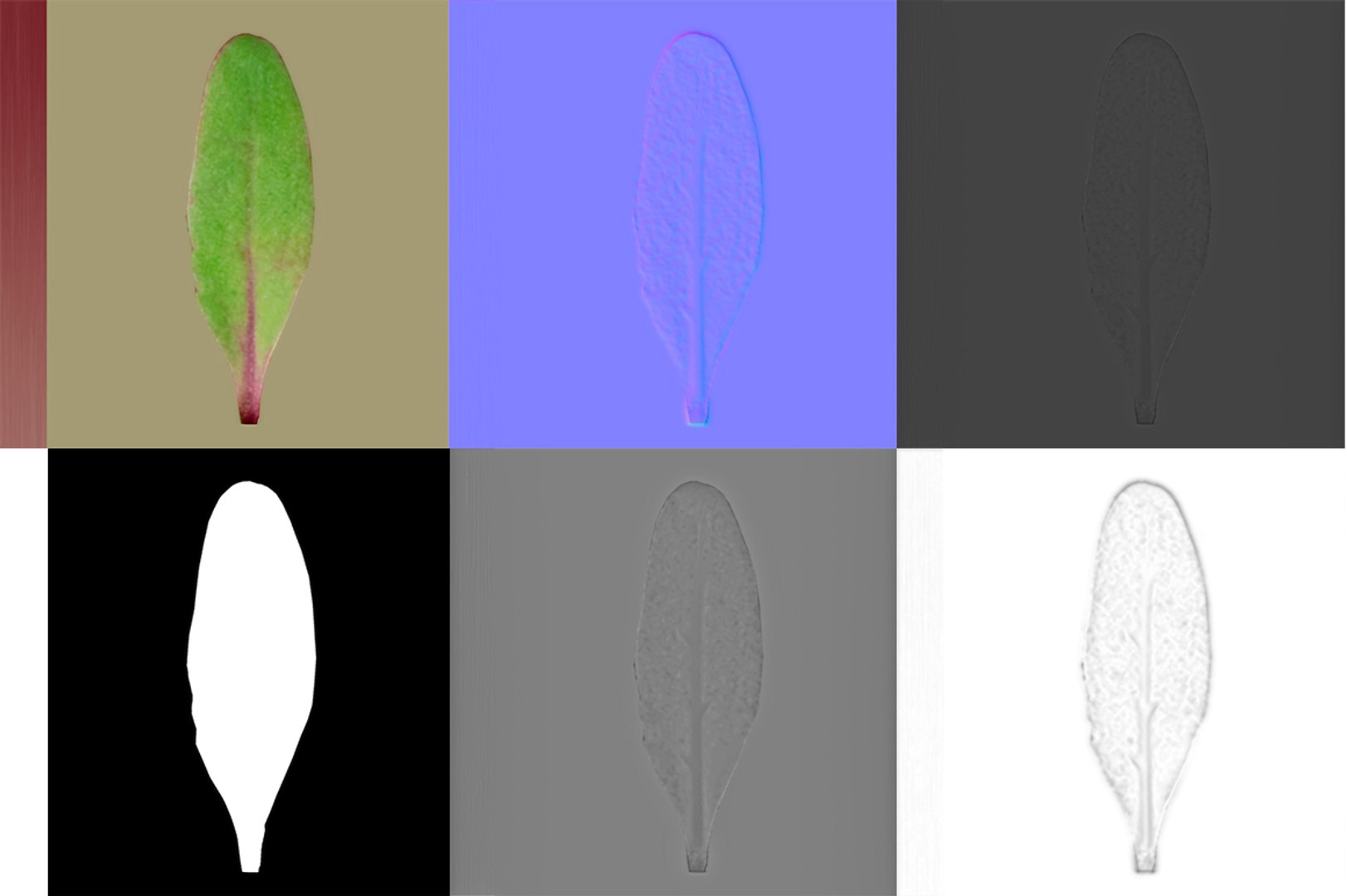 3D model herbs set https://p.turbosquid.com/ts-thumb/6Y/T8SOMa/7JSXYFS0/maps/jpg/1590604139/1920x1080/fit_q87/dd59d0a0332d1ed443bef02a9c13fa4522e37cf4/maps.jpg