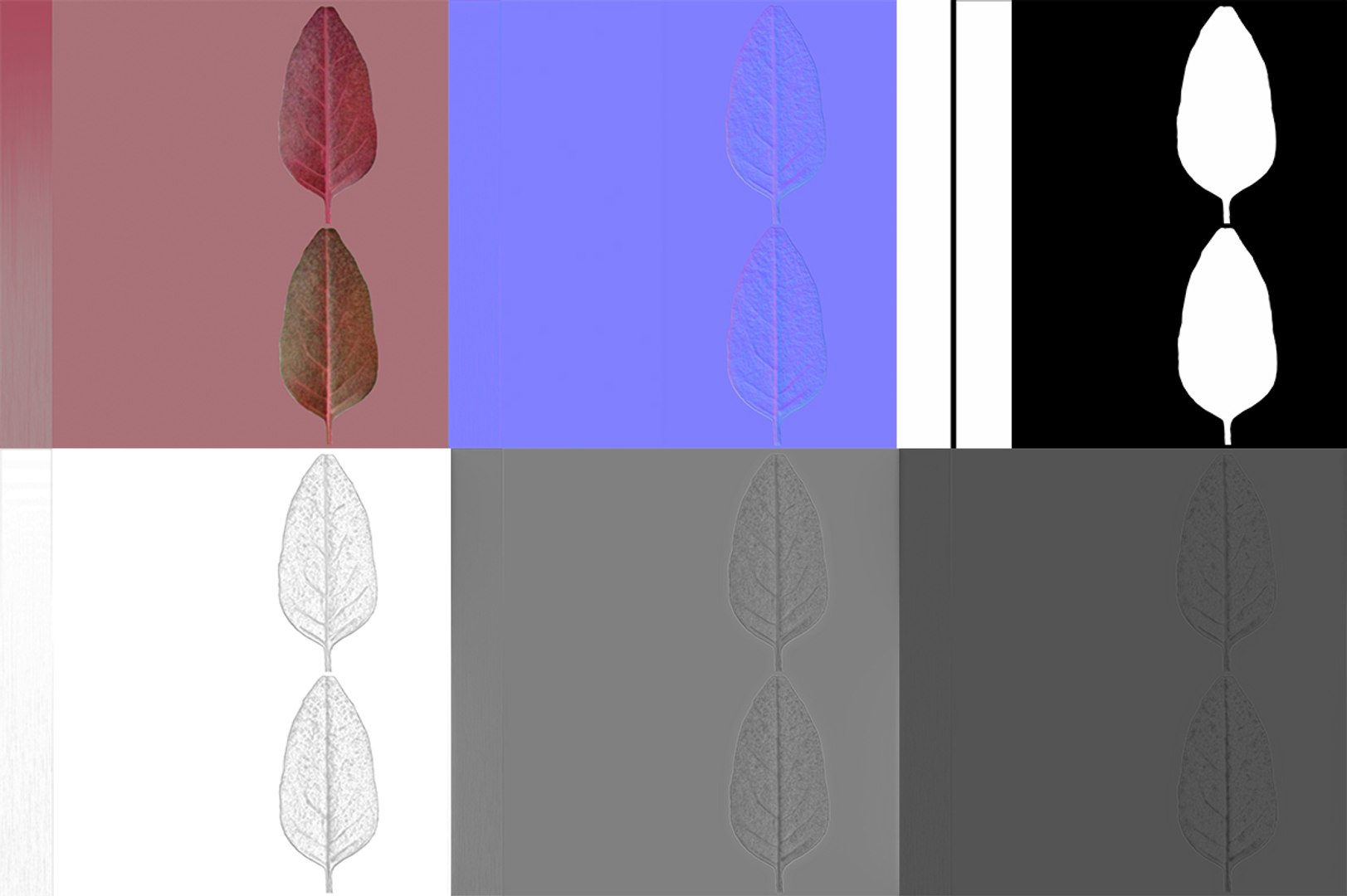 3D model herbs set https://p.turbosquid.com/ts-thumb/6Y/T8SOMa/QbVR6xiG/maps/jpg/1590604225/1920x1080/fit_q87/fbdd449fcb2b7ddb486c45413ce9123346ce6689/maps.jpg