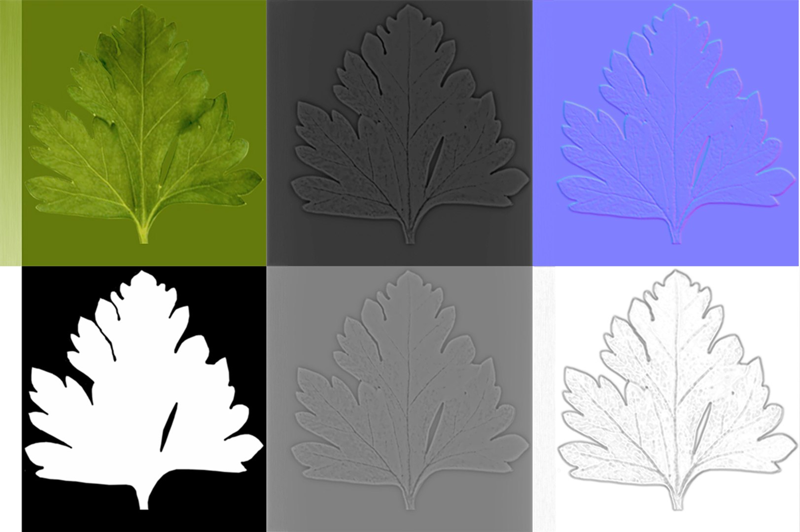 3D model herbs set https://p.turbosquid.com/ts-thumb/6Y/T8SOMa/g3arXcRw/maps/jpg/1590604169/1920x1080/fit_q87/0c21c77df4ada3cbed8835dfda590125ae008e09/maps.jpg