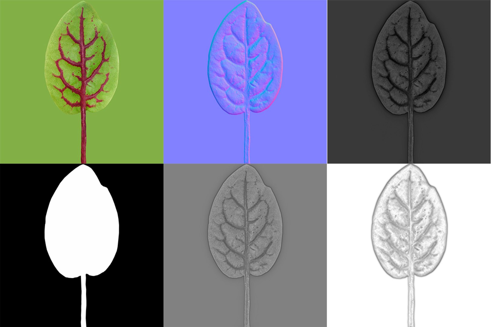 3D model herbs set https://p.turbosquid.com/ts-thumb/6Y/T8SOMa/hIKH0feC/maps/jpg/1590604152/1920x1080/fit_q87/74b86d54191f8d1504924e41a56ef291f5d9a7d0/maps.jpg