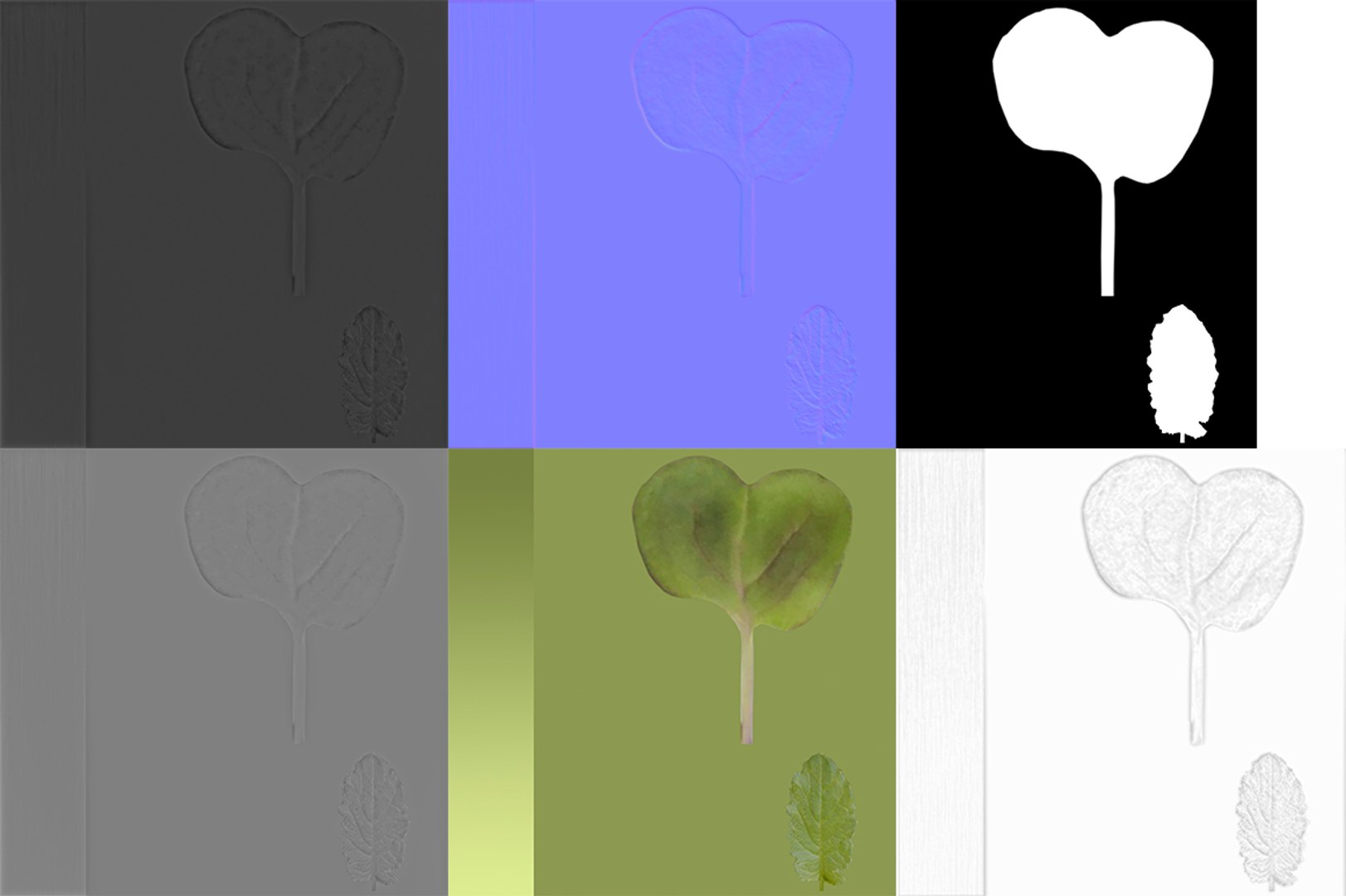 3D model herbs set https://p.turbosquid.com/ts-thumb/6Y/T8SOMa/luRZlKap/maps/jpg/1590604193/1920x1080/fit_q87/db6af66f5de6d88a82f922618197f55f1a2ac246/maps.jpg