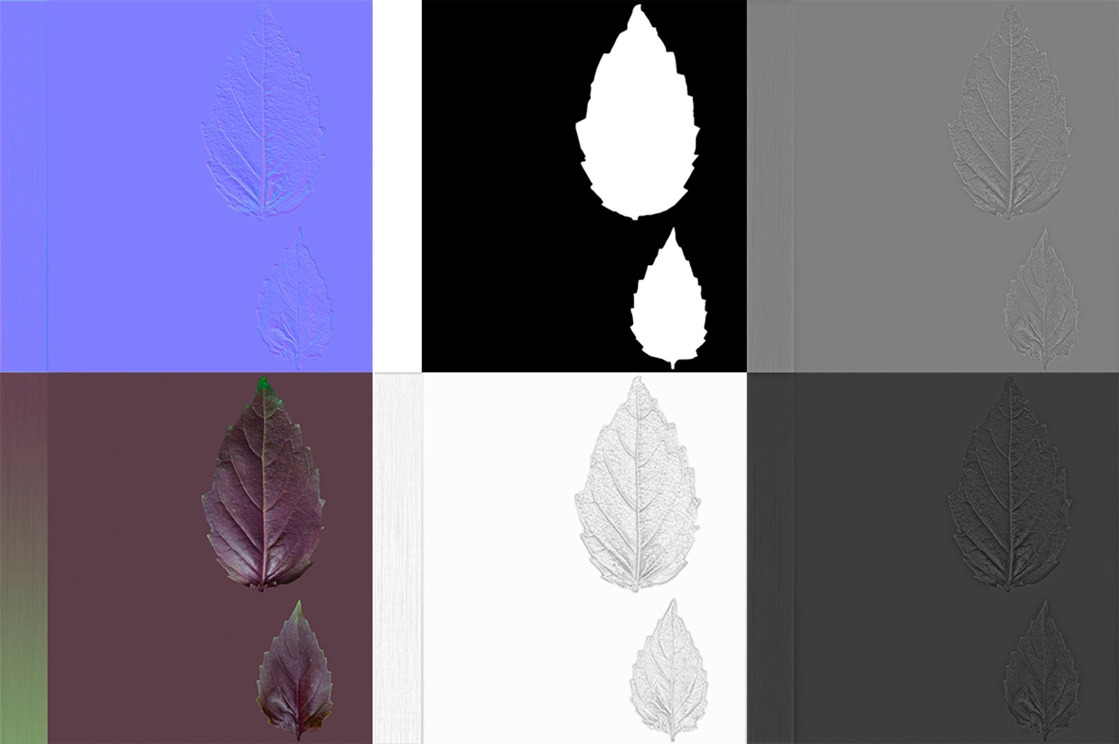 3D model herbs set https://p.turbosquid.com/ts-thumb/6Y/T8SOMa/nxIREnCU/maps/jpg/1590604215/1920x1080/fit_q87/3484414dd20c7724e8224ff2c9afa683151f9f4e/maps.jpg