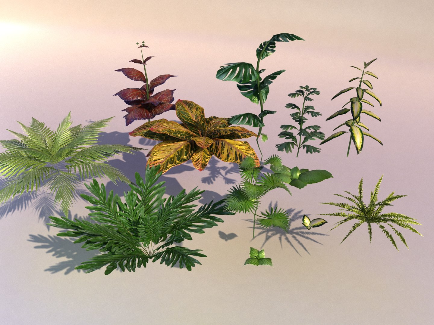 3D set plant tropic https://p.turbosquid.com/ts-thumb/6Y/WhbRKO/Jm/4/jpg/1614880041/1920x1080/fit_q87/e539ba8e9448ca0a624f85b4ed5c33c62c12992f/4.jpg