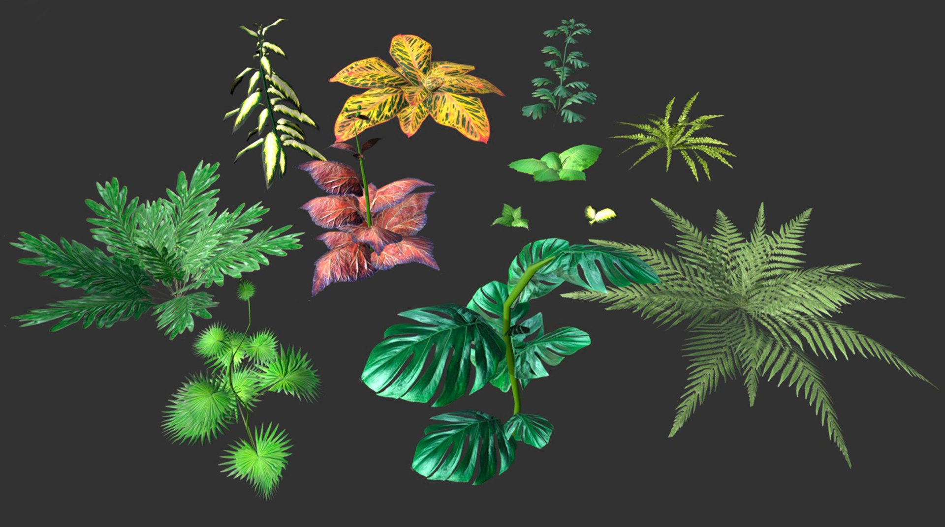 3D set plant tropic https://p.turbosquid.com/ts-thumb/6Y/WhbRKO/Os/5/jpg/1614879777/1920x1080/fit_q87/ce6511642cef5f3aaebe9cd6639024d12f6a2a39/5.jpg
