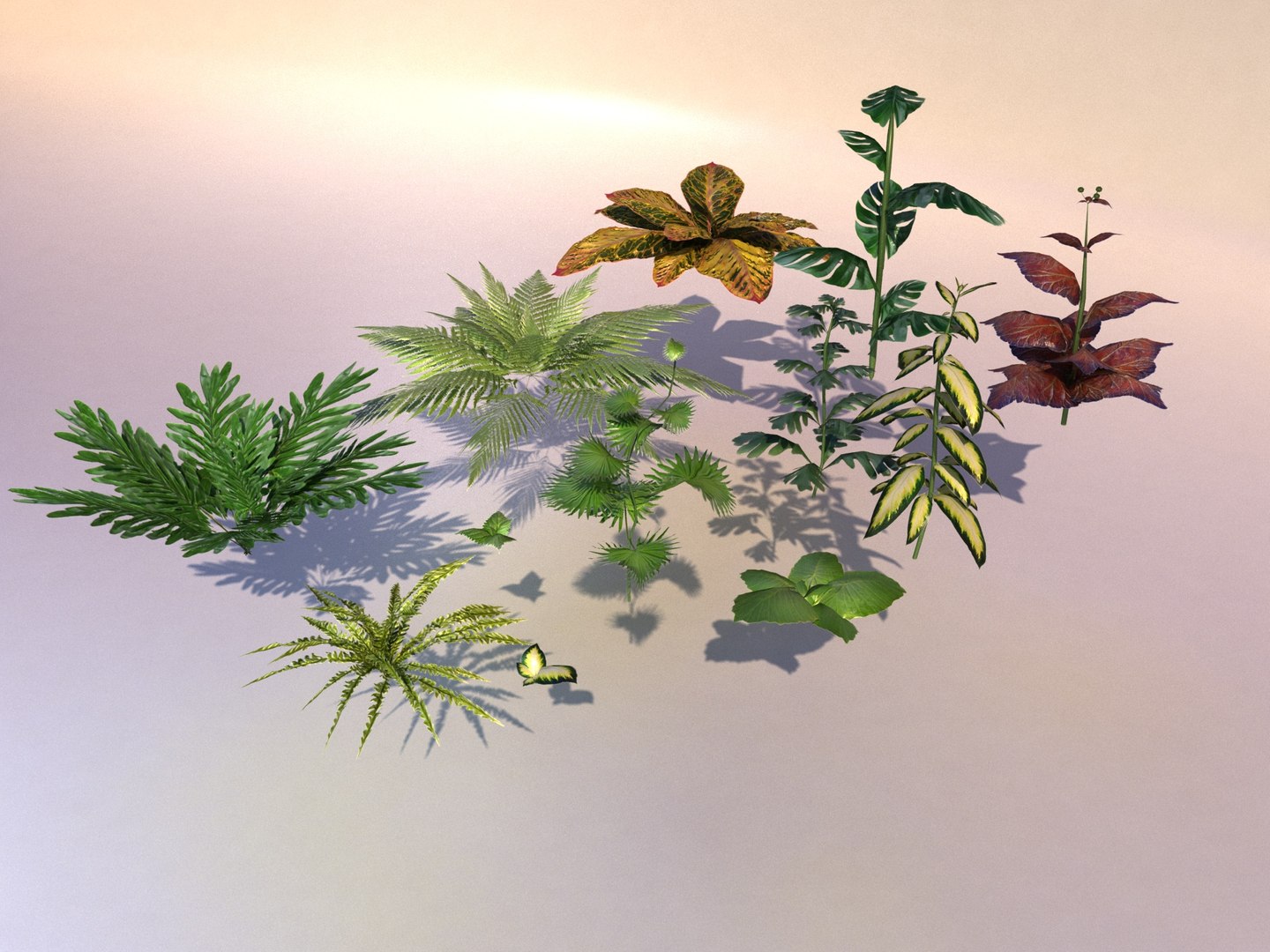 3D set plant tropic https://p.turbosquid.com/ts-thumb/6Y/WhbRKO/Z0/7/jpg/1614879913/1920x1080/fit_q87/042e75bfc288e6f2715d7a20f820b9e7a89e9066/7.jpg