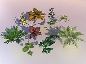 3D set plant tropic
