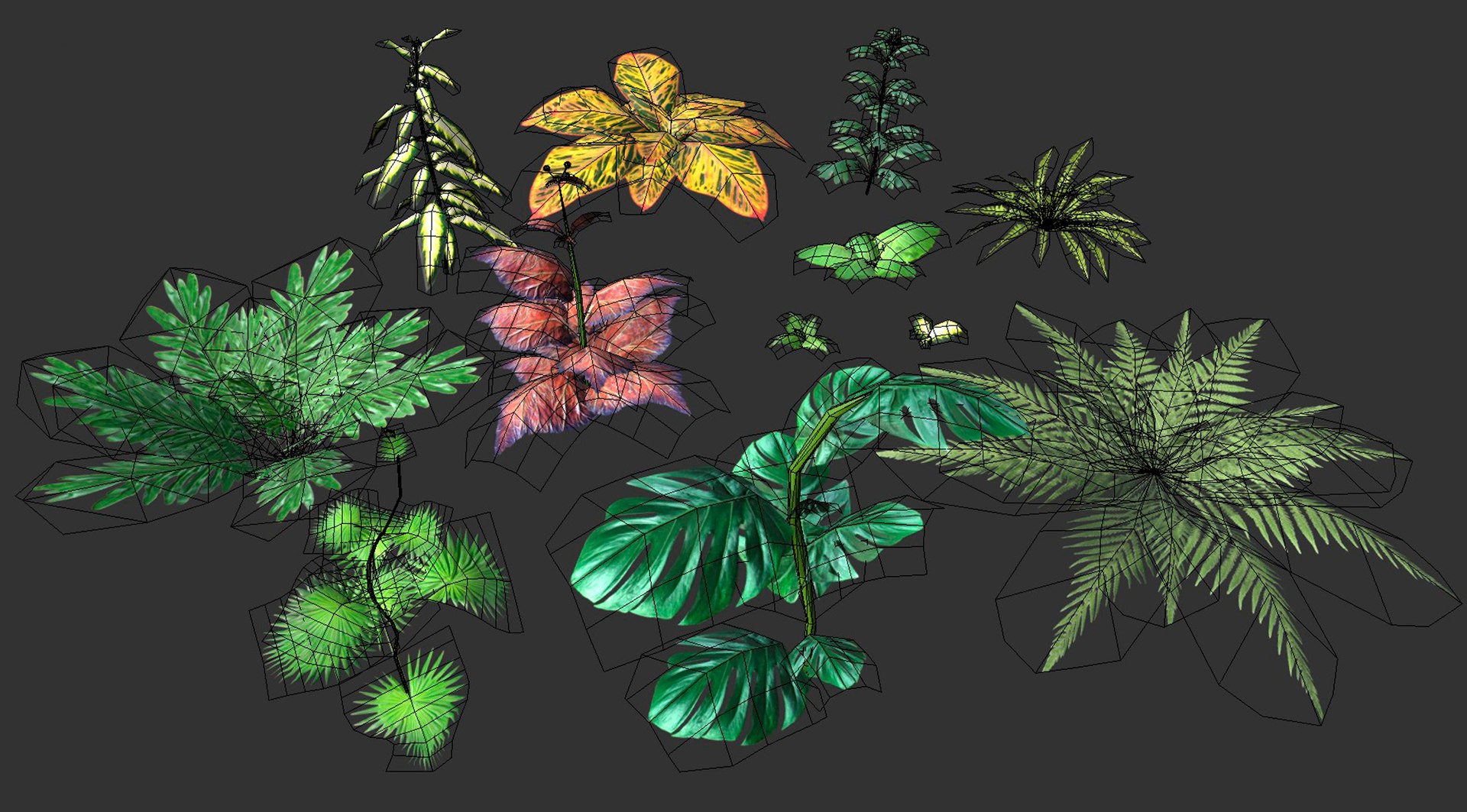 3D set plant tropic https://p.turbosquid.com/ts-thumb/6Y/WhbRKO/v9/6/jpg/1614880600/1920x1080/fit_q87/96ca646caf67d2ddc7971b61e66f5d2f086b9f02/6.jpg