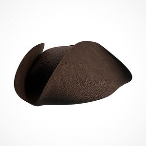 pirate hat 3D model