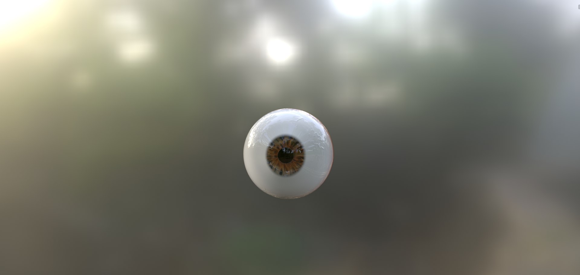3D Human Eye Model Model - TurboSquid 2279145