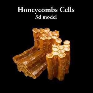 Honey Comb`s Cell