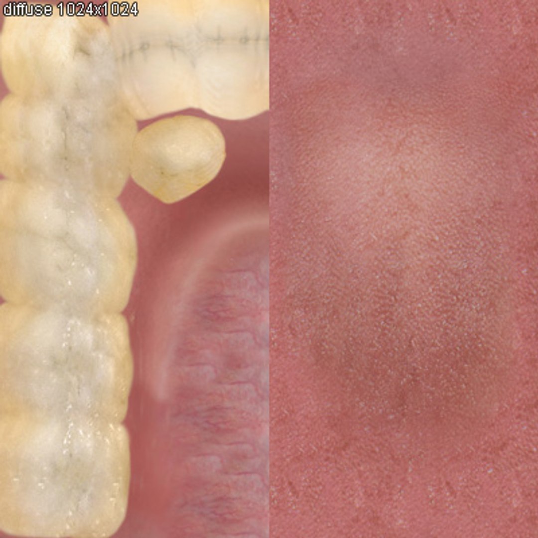 mouth lips teeth max7 3d max https://p.turbosquid.com/ts-thumb/6Y/oelLlJ/4hs2Oxsu/mouth_tex/jpg/1192666913/1920x1080/fit_q87/a68d9e854d6916ab90da379123a799d8aa549c7c/mouth_tex.jpg