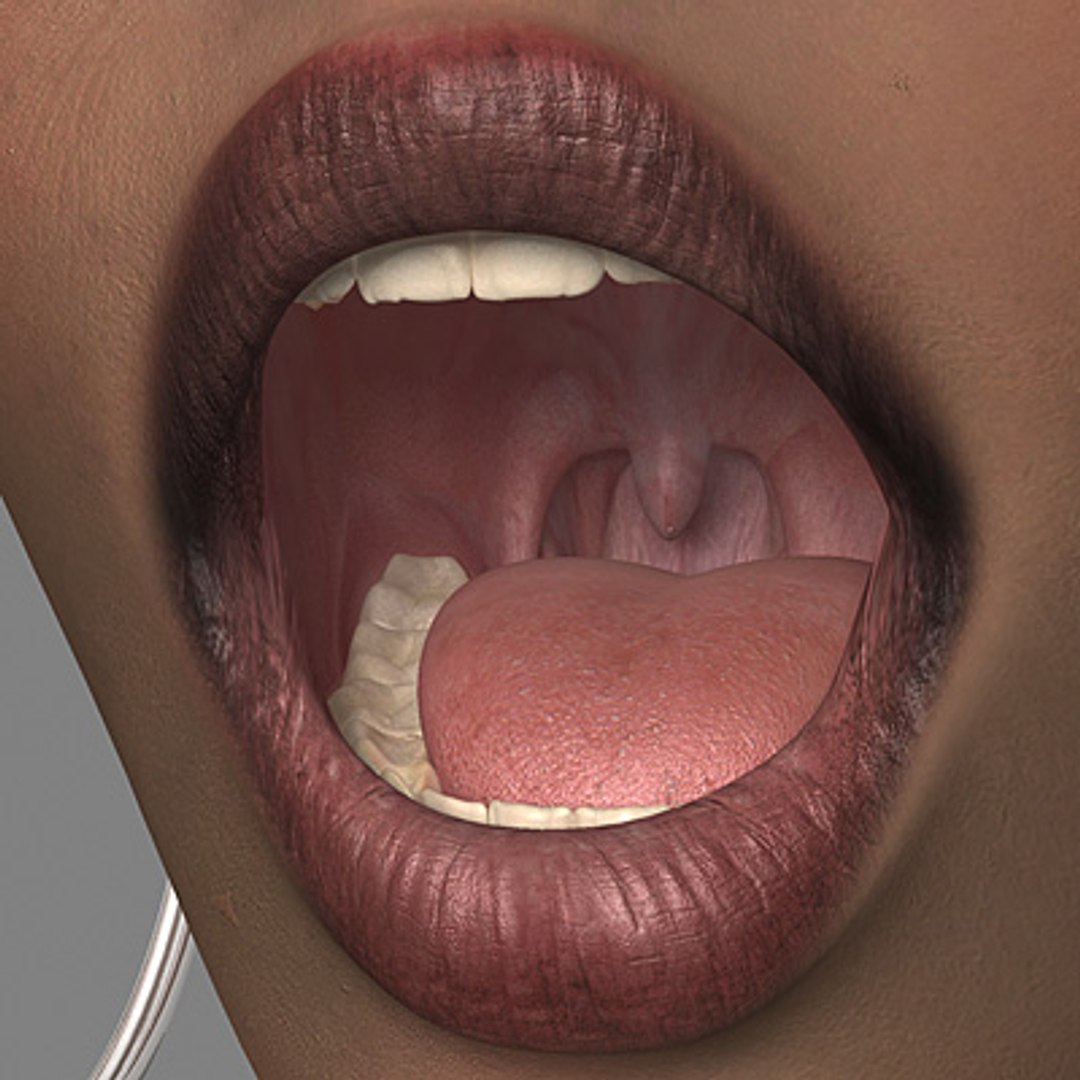 mouth lips teeth max7 3d max https://p.turbosquid.com/ts-thumb/6Y/oelLlJ/S0qmGEt2/test11/jpg/1192665099/1920x1080/fit_q87/97c4d9245d552ead09f80b5b170d068ecc6ace18/test11.jpg