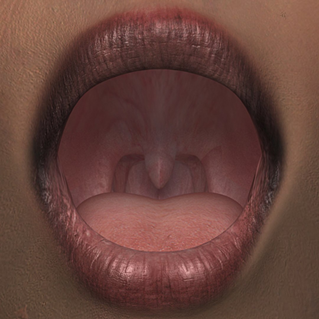 mouth lips teeth max7 3d max https://p.turbosquid.com/ts-thumb/6Y/oelLlJ/lNBTLyUO/throat/jpg/1192665108/1920x1080/fit_q87/e03ea8529564725e5e0ffe2bc4863b8594d5dacc/throat.jpg