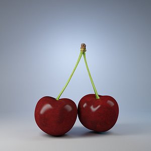 cherry 3d model