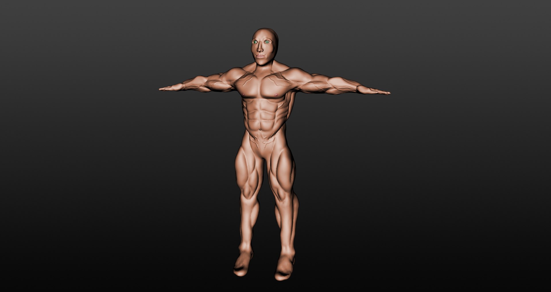 Free Muscular Male 3d Model