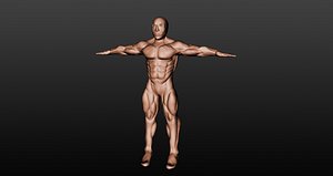 Afroamerikanischer Bodybuilder Mann T-Pose 3D-Modell - TurboSquid 2047595