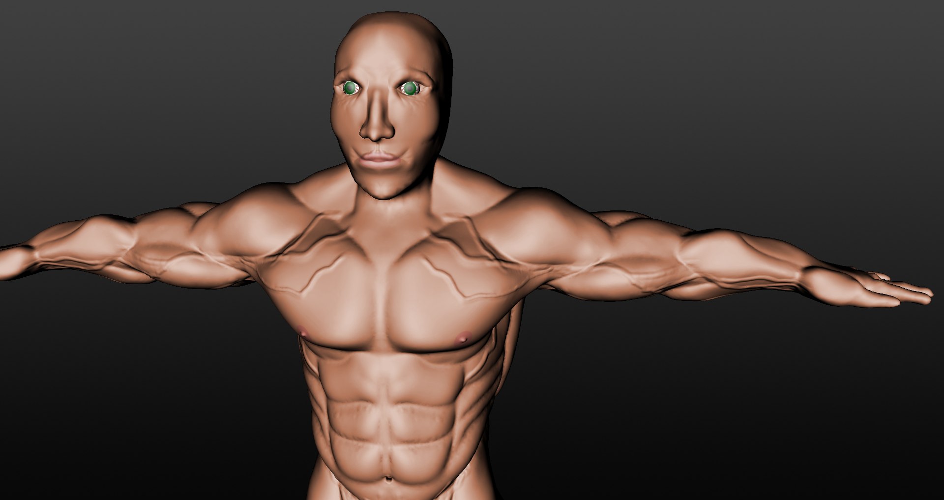 Free Muscular Male 3d Model