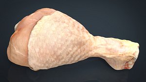 3D fresh chicken leg