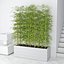 Bamboo 03
