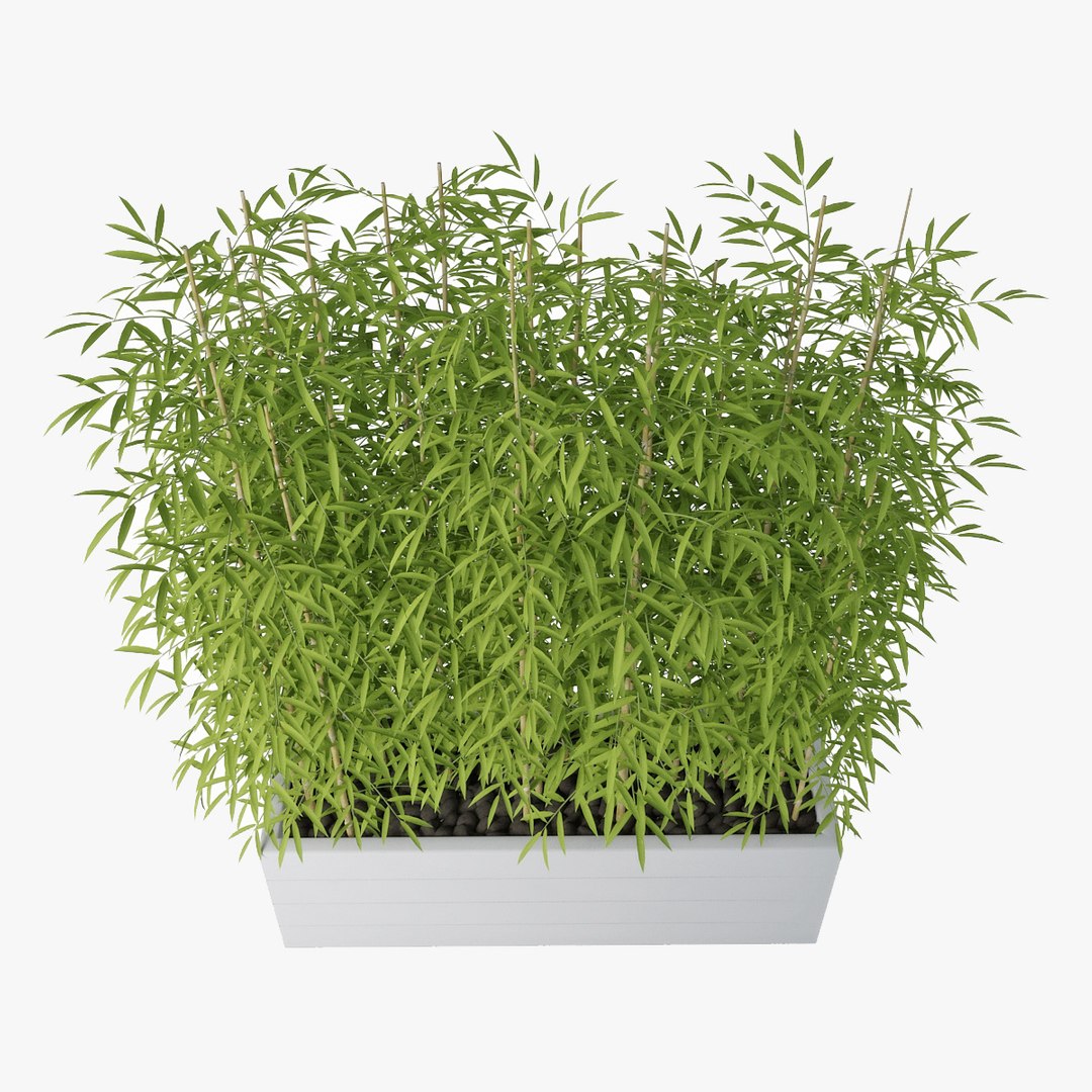 3d model bamboo https://p.turbosquid.com/ts-thumb/6Z/8P9a50/4lwD0x8O/pr04/jpg/1489485610/1920x1080/fit_q87/254402bedead0ed87e5bcc11855163fd2bcc270a/pr04.jpg