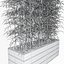 Bamboo 03