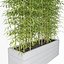 Bamboo 03