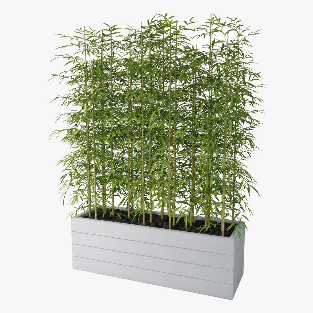 3d model bamboo https://p.turbosquid.com/ts-thumb/6Z/8P9a50/r3nkvO2s/pr02/jpg/1489485610/1920x1080/fit_q87/50bcb4f3d3200dbf925d646b3824d11882eeae33/pr02.jpg