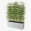 Bamboo 03