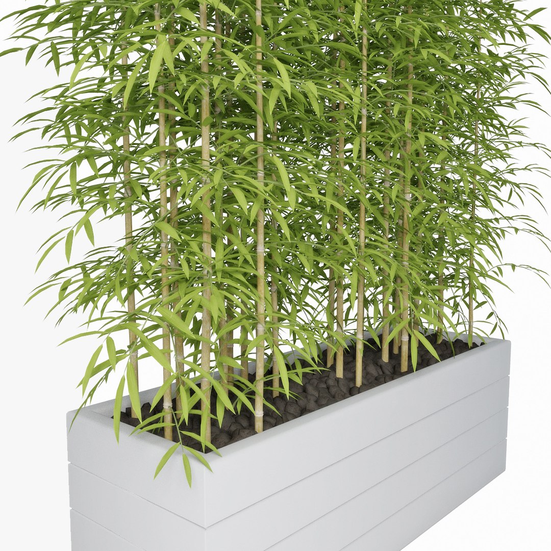 3d model bamboo https://p.turbosquid.com/ts-thumb/6Z/8P9a50/un4BCFmn/pr05/jpg/1489485610/1920x1080/fit_q87/3281ce3090e747f699fcefa275026cd18a0d1c15/pr05.jpg