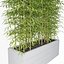 Bamboo 03