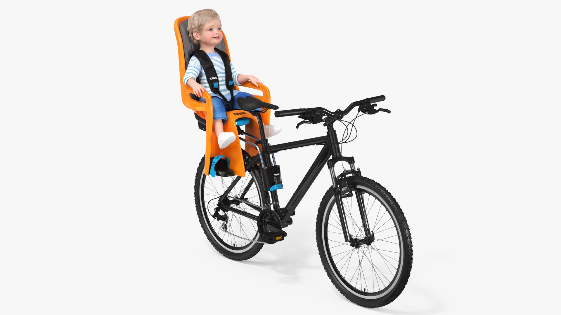 Toddler in Thule Safety Seat on Bike 3D model preview
