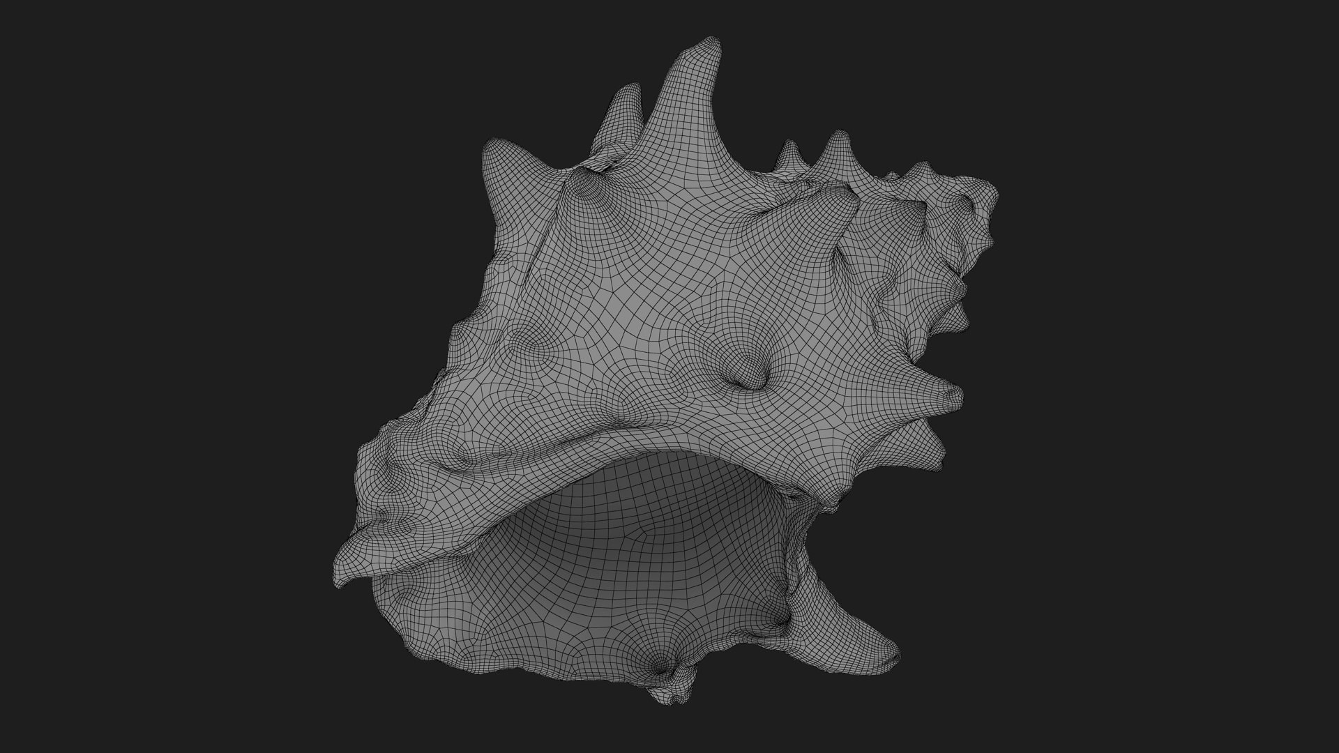 Reishia Bitubercularis 3D Model - TurboSquid 2389846
