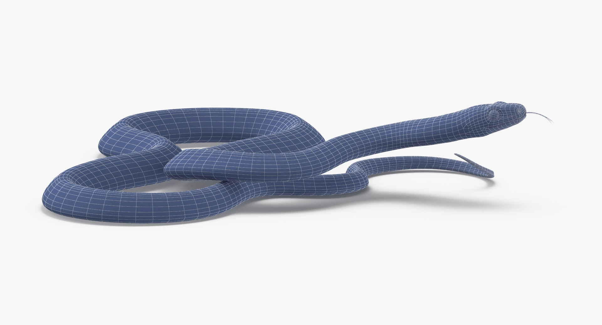 Black Snake 03 Max