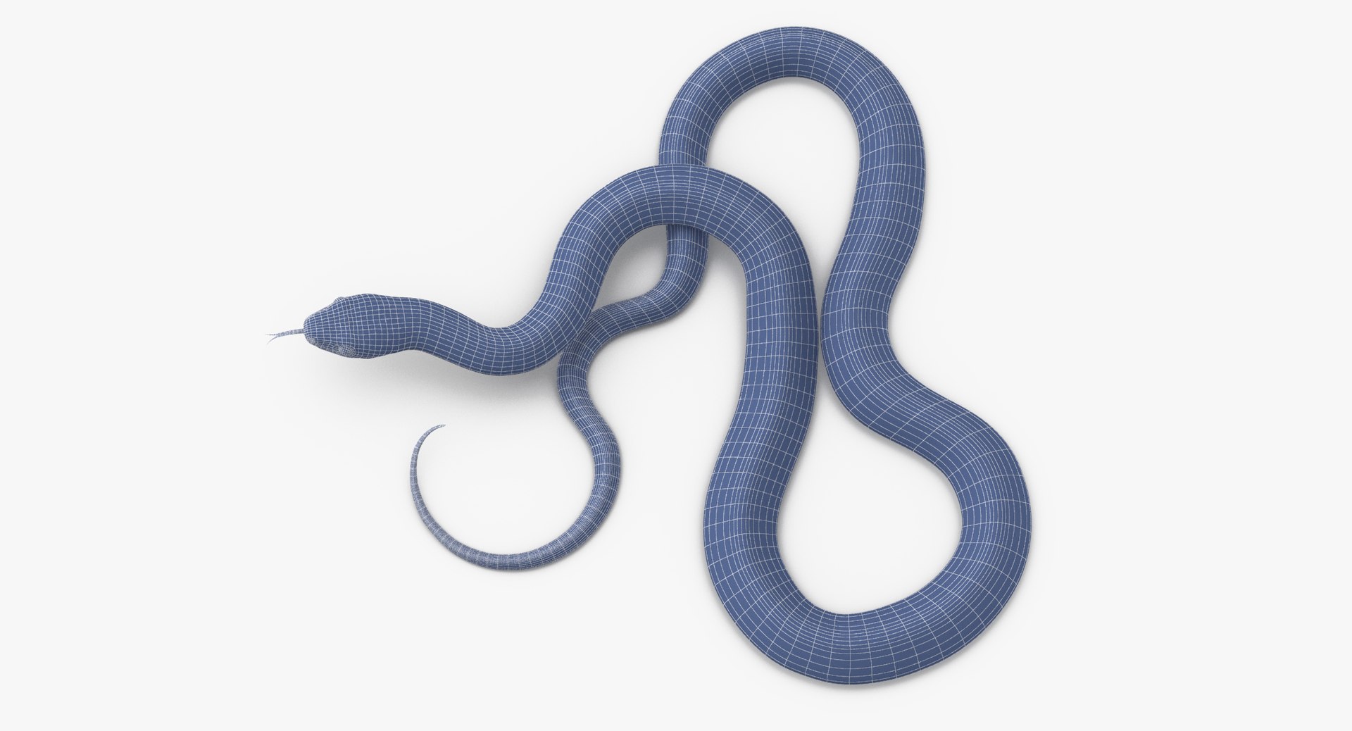 Black Snake 03 Max