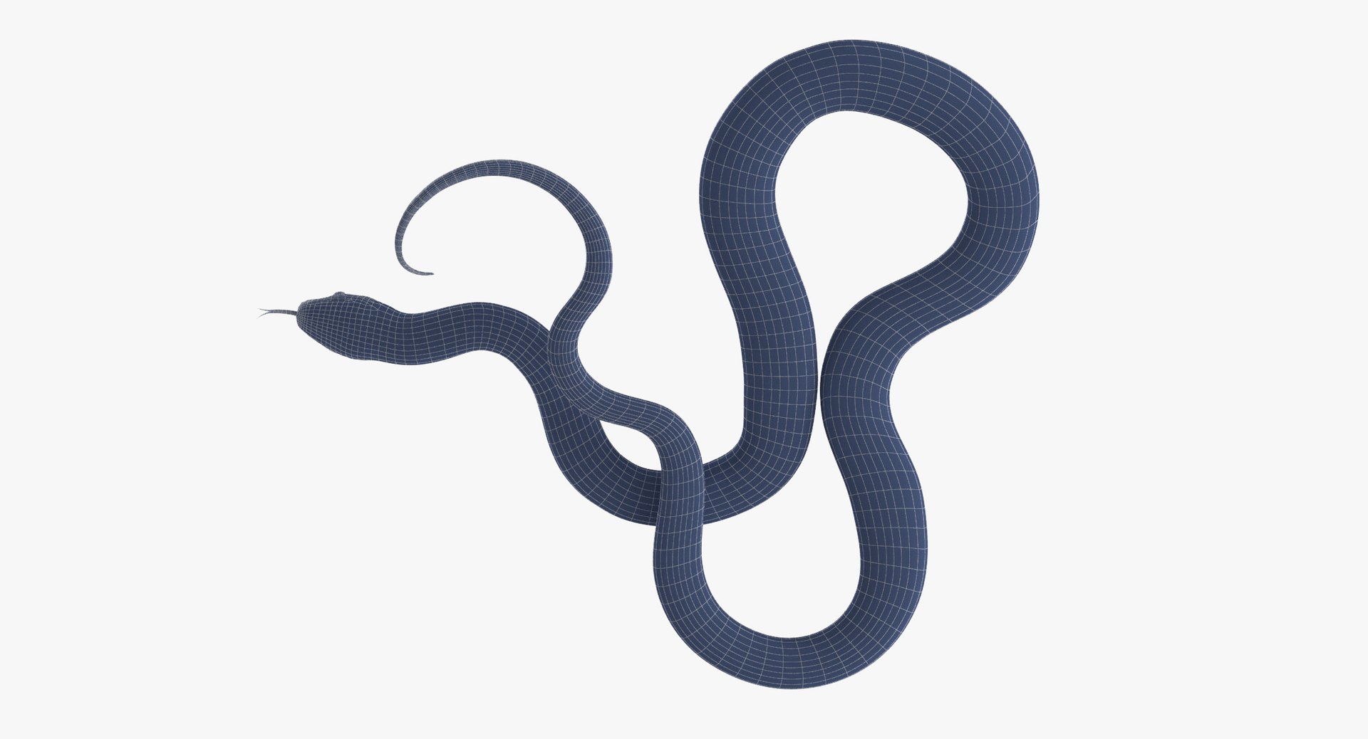 Black Snake 03 Max