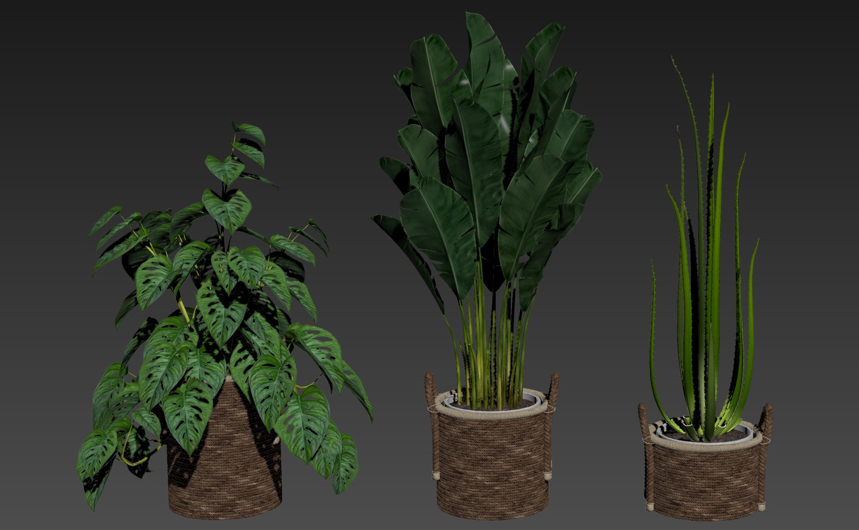 3D plants model https://p.turbosquid.com/ts-thumb/6Z/GNzakL/5y/w/jpg/1615025865/1920x1080/fit_q87/9dcc5ba3c9ac75bed44dc5eb59a1a3b4bed914fd/w.jpg