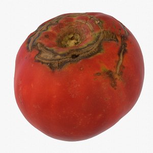 3D Tomato 02 high-poly model