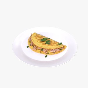 Tuna Omelette model