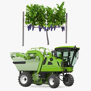Rigged Grape Harvester with Vineyard Collection