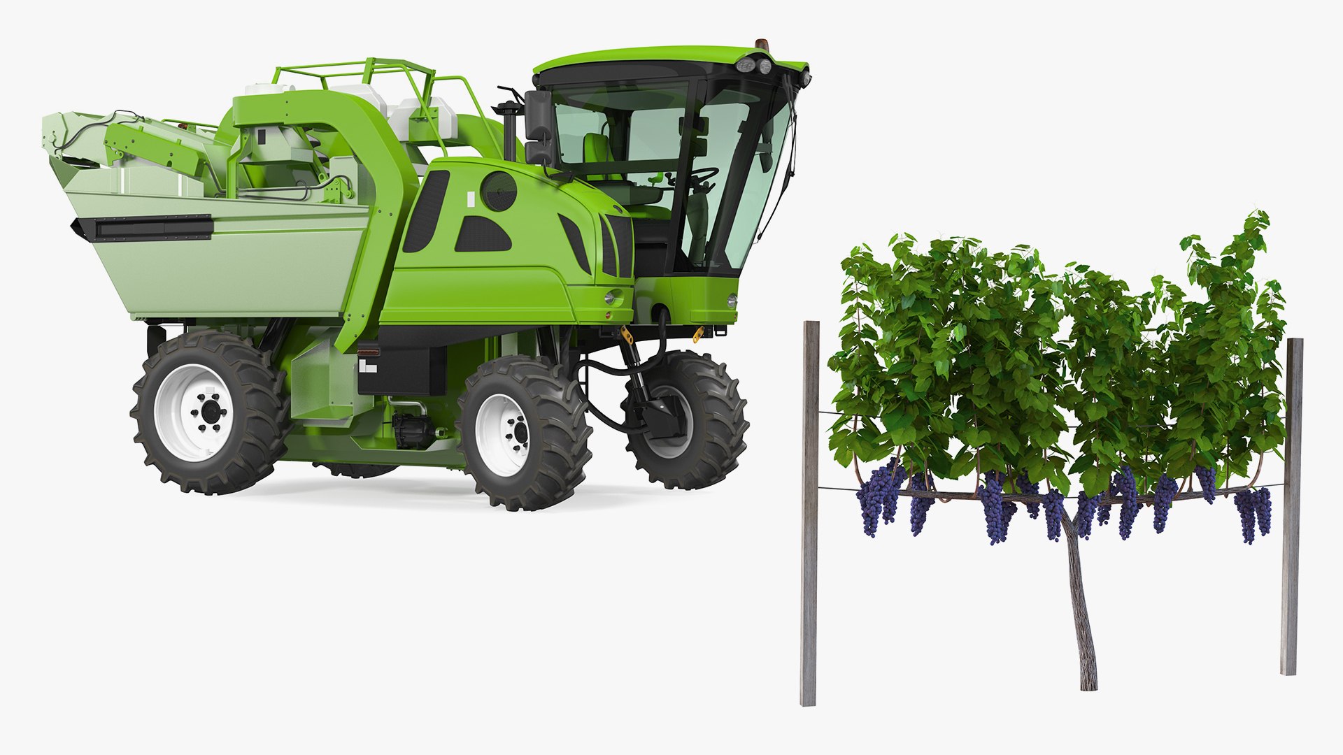 Rigged Grape Harvester with Vineyard Collection 3D model https://p.turbosquid.com/ts-thumb/6Z/RVIkdA/OQ/riggedgrapeharvesterwithvineyardcollection3dmodel001/jpg/1642593929/1920x1080/fit_q87/d14cca38bfdf62f41b8912316782f438b9b8185e/riggedgrapeharvesterwithvineyardcollection3dmodel001.jpg