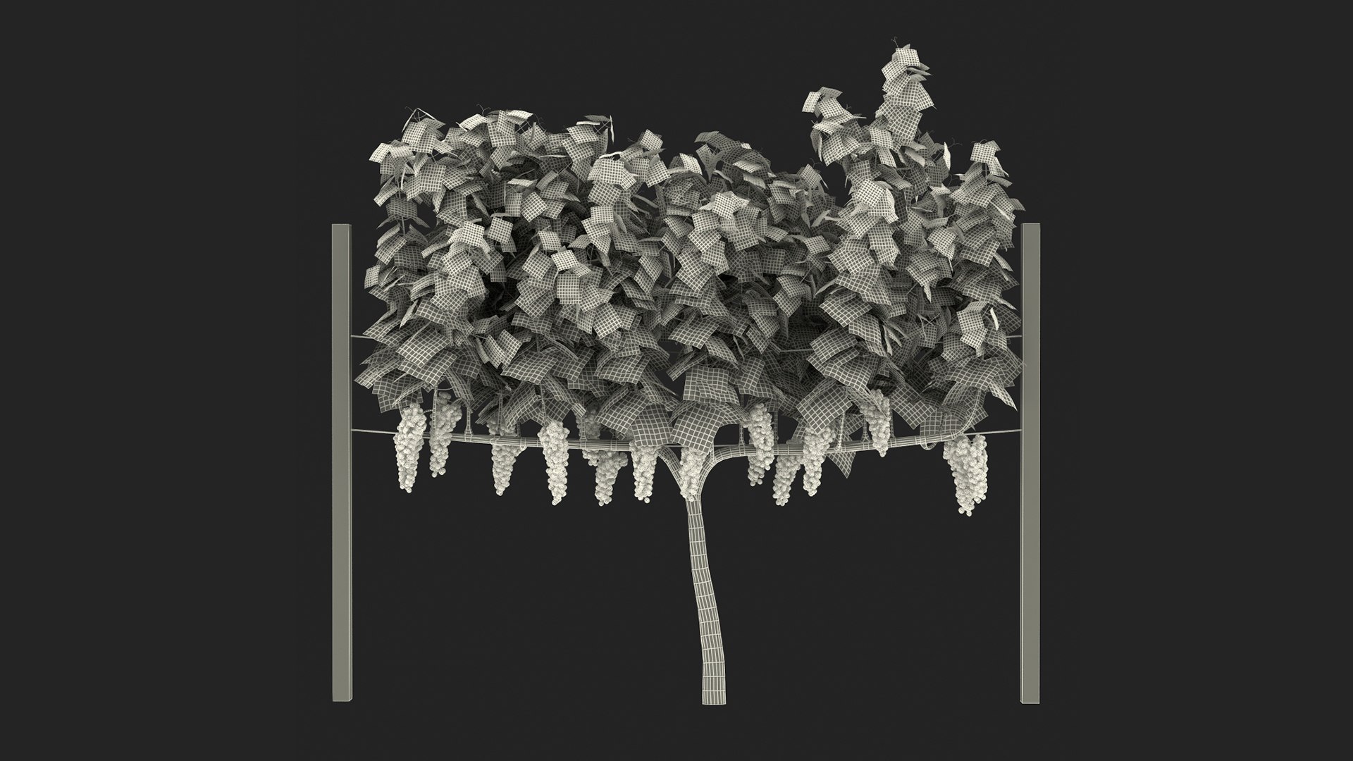 Rigged Grape Harvester with Vineyard Collection 3D model https://p.turbosquid.com/ts-thumb/6Z/RVIkdA/TL/riggedgrapeharvesterwithvineyardcollection3dmodel028/jpg/1642594010/1920x1080/fit_q87/3792f2d63e3aced7e9d04ff1468360dd075015a5/riggedgrapeharvesterwithvineyardcollection3dmodel028.jpg