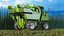 Rigged Grape Harvester with Vineyard Collection